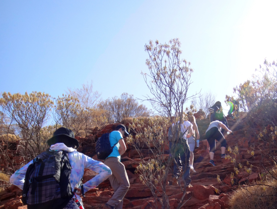 最初の登りが一番キツイ。。
