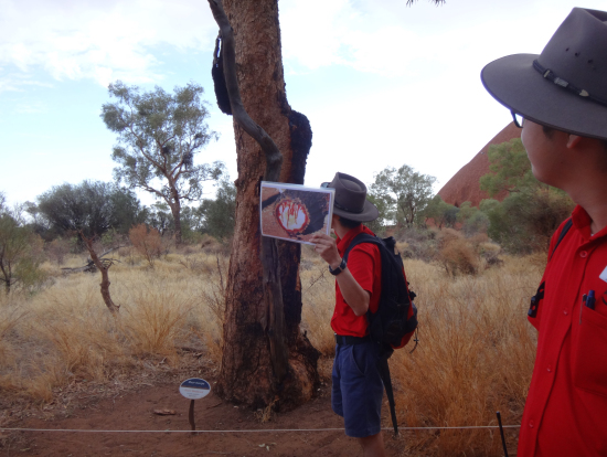 麓めぐり【マラウォーク】説明は興味深かったです。