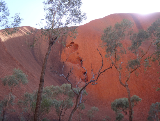 ウルルのラブ&ピース