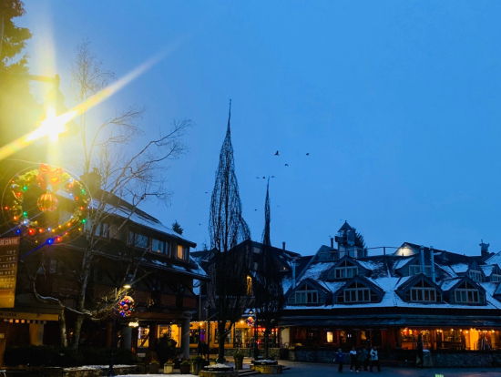 早朝に到着したウィスラービレッジ