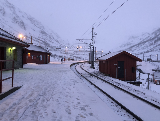 ミュルダール駅ホーム