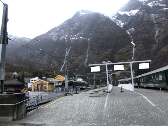 フラム駅ホーム。乗車時間30分以上前から行列ができる。