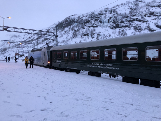 ミュルダール駅ホーム