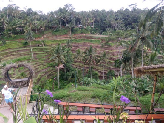 テガラランのライステラス