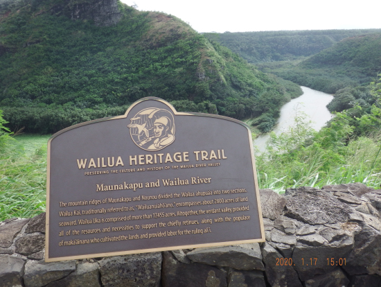 ワイルア川を望む