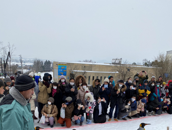 冬の旭山動物園の名物ペンギンパレード。