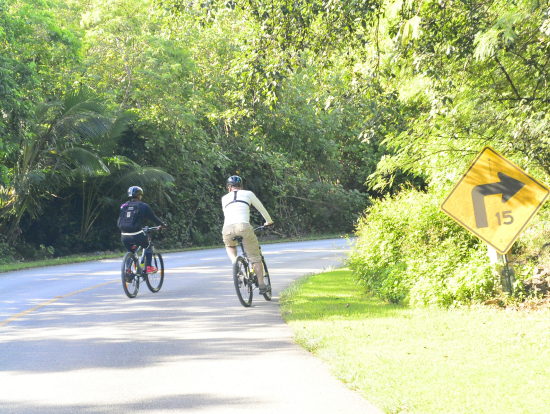 ダウンヒルの始まり