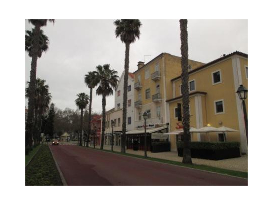 大西洋に面したリゾート地カスカイスの散策です。