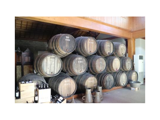お決まりのワイナリーの貯蔵所です。