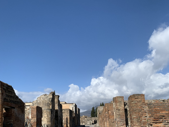 遠くにベスビオ火山