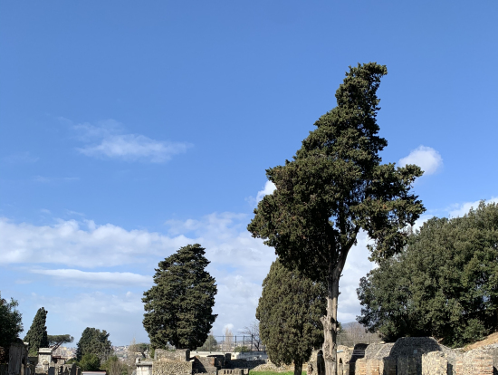 2000年前と同じ風景が広がります