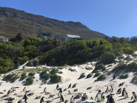 ボルダーズビーチ