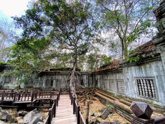 遊歩道もあります。