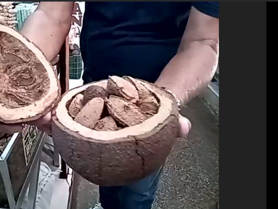 サイズにびっくり。開けてもびっくり。