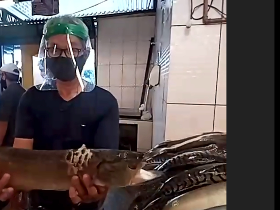 アロワナも抱えて紹介してくれました。