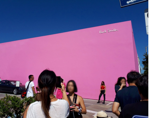 メルローズ・ピンク壁(ポール・スミス)