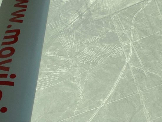 ナスカの地上絵~ついにこの目で見た!