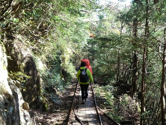 帰路のトロッコ道は景観を楽しみながら下山する