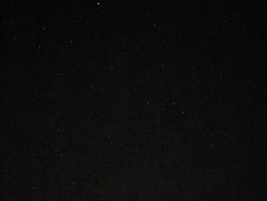 写真はiPhoneで撮影しました。 ど素人のわたしにはコレが限界でした...汗