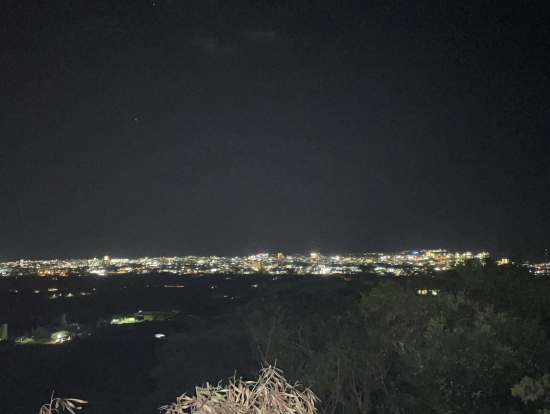 バンナ公園から石垣市街地の夜景