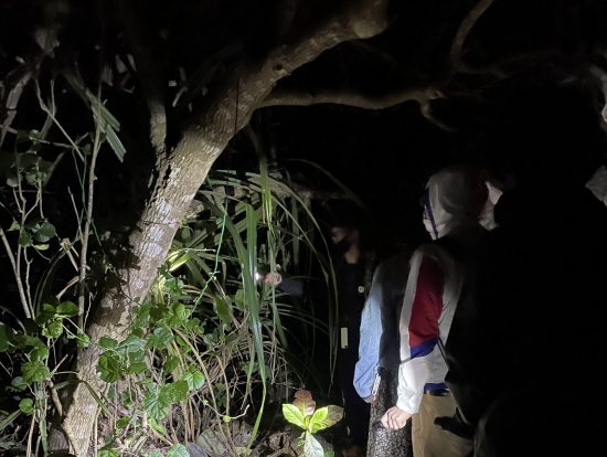 植物や動物/昆虫のガイド付き