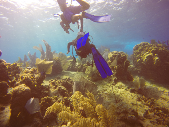 ガイドさんのお陰で頼りない私もたのしめました。