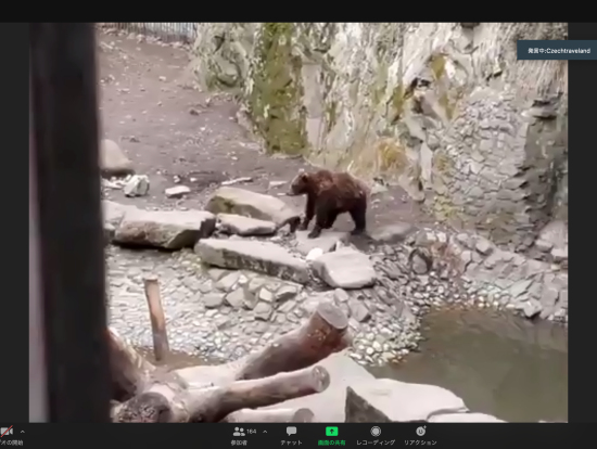 お城で飼ってる熊が起きてきました。