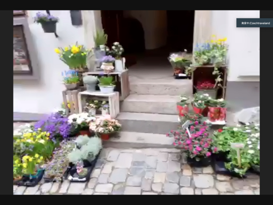 チェコは園芸好きな方が多いそうです♪