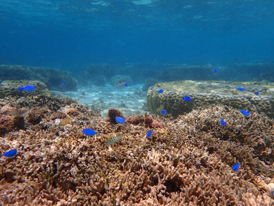 俺たちオイスターズ Vol 8 夏休み 青の洞窟攻略法 旅行記事 Emo エモ 旅メディア