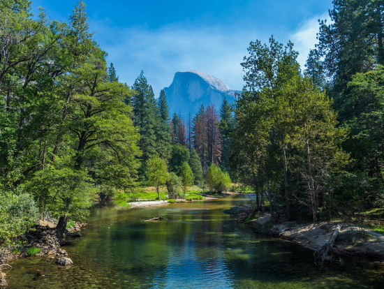 サンフランシスコの世界遺産 ヨセミテ国立公園で大自然を体験 旅行記事 Emo エモ 旅メディア