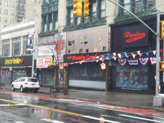 雨でも楽しめました