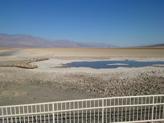 こんなところでも生物がいる