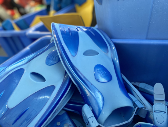 お借りしたフィンたち