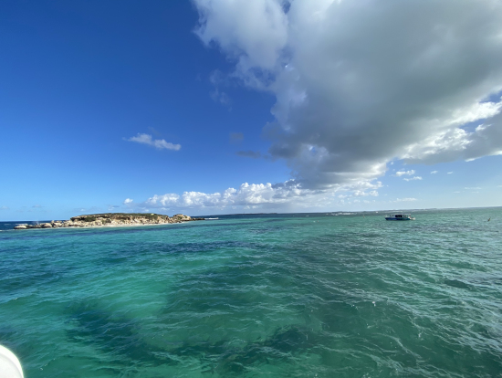 船から見れる景色