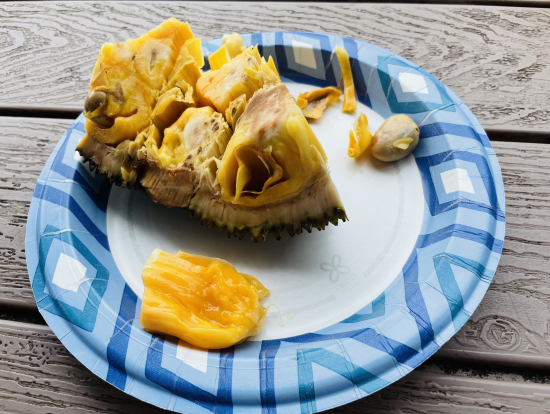 ジャックフルーツ