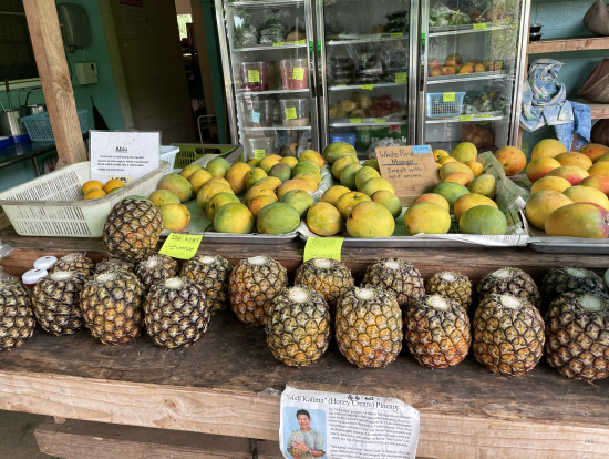 色々なフルーツが販売されてます