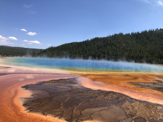 これぞイエローストーン