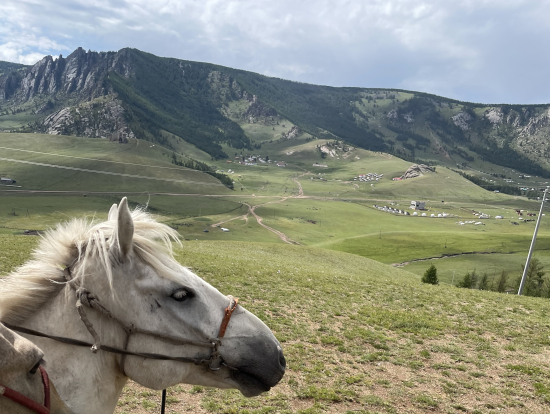 乗馬体験、大人しく賢い馬でした。