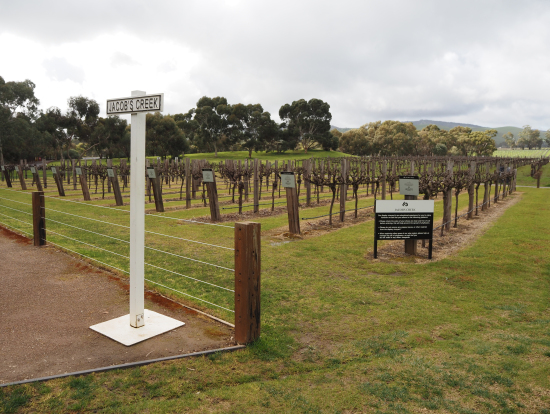 冬は緑や実がないので、ちょっと味気ないかもしれません。