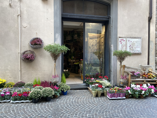 可愛らしい街角②