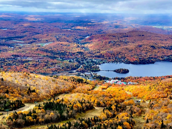 トランブランlook outから