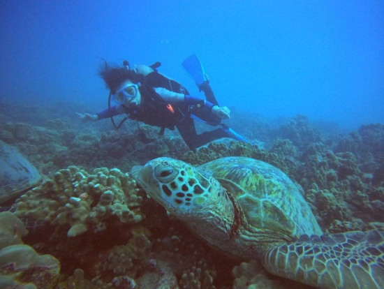 ホヌに遭遇 マットさんが撮ってくださいました