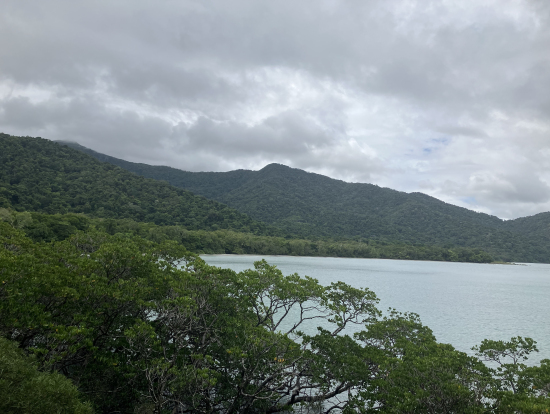 クキールックアウトからの景色。海岸線から直ぐに広がるマングローブの森。
