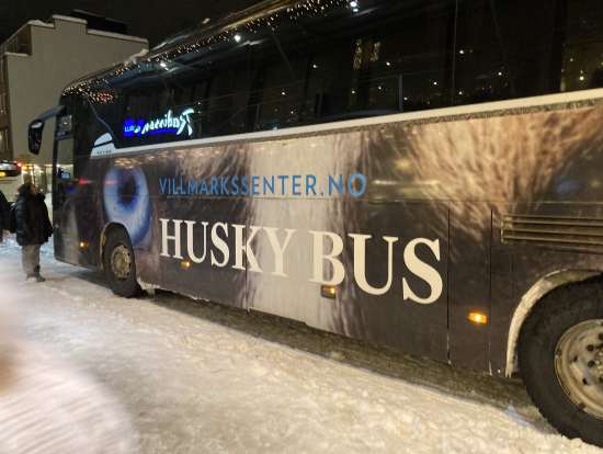 お迎えのバス。帰りは違うバスなので降りる時は荷物を残さないようにと念を押されました。