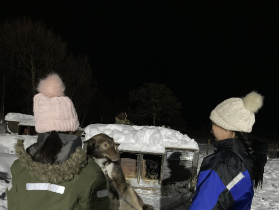 人懐っこい犬達が触って欲しいと出てきてくれます。