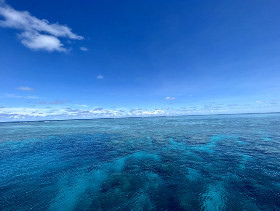 グレートバリアリーフ ノーマンリーフ