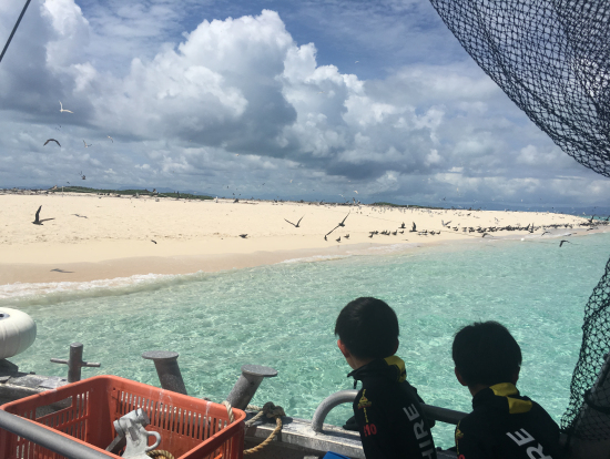 白砂の島とたくさんの海鳥