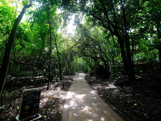 グリーン島内散策