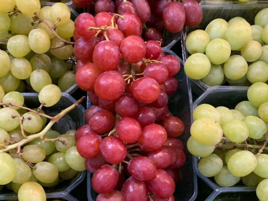 新鮮な食材がいっぱい