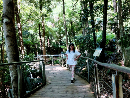 シーニックウォークウェイ